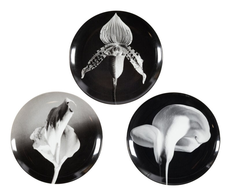 Robert Mapplethorpe and Swid Powell
(American, 1946–1989 | 20th century)
Calla Lily, Flower, a (1 of 3)