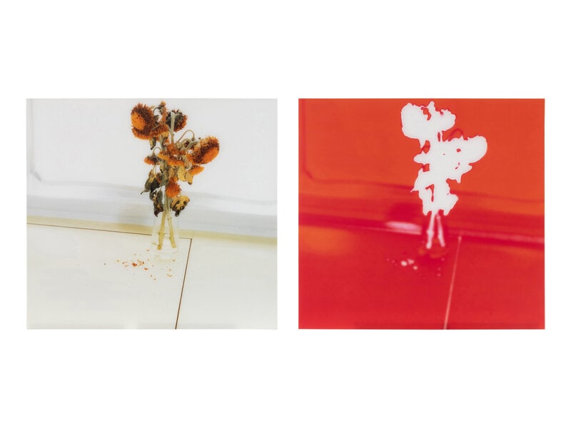 Uta Barth
(American/German, b. 1958)
Untitled 05.6 (diptych), 2005 (1 of 4)