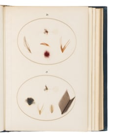 [ANGLING]. EDMONDS, Harfield H. and Norman N. LEE. Brook and River Trouting. A Manual of Modern