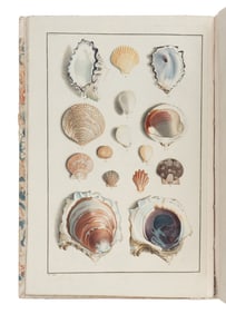 [NATURAL HISTORY]. BORN, Ignaz Edler von (1742-1791). Testacea Musei Caesarei Vindobonensis, quae