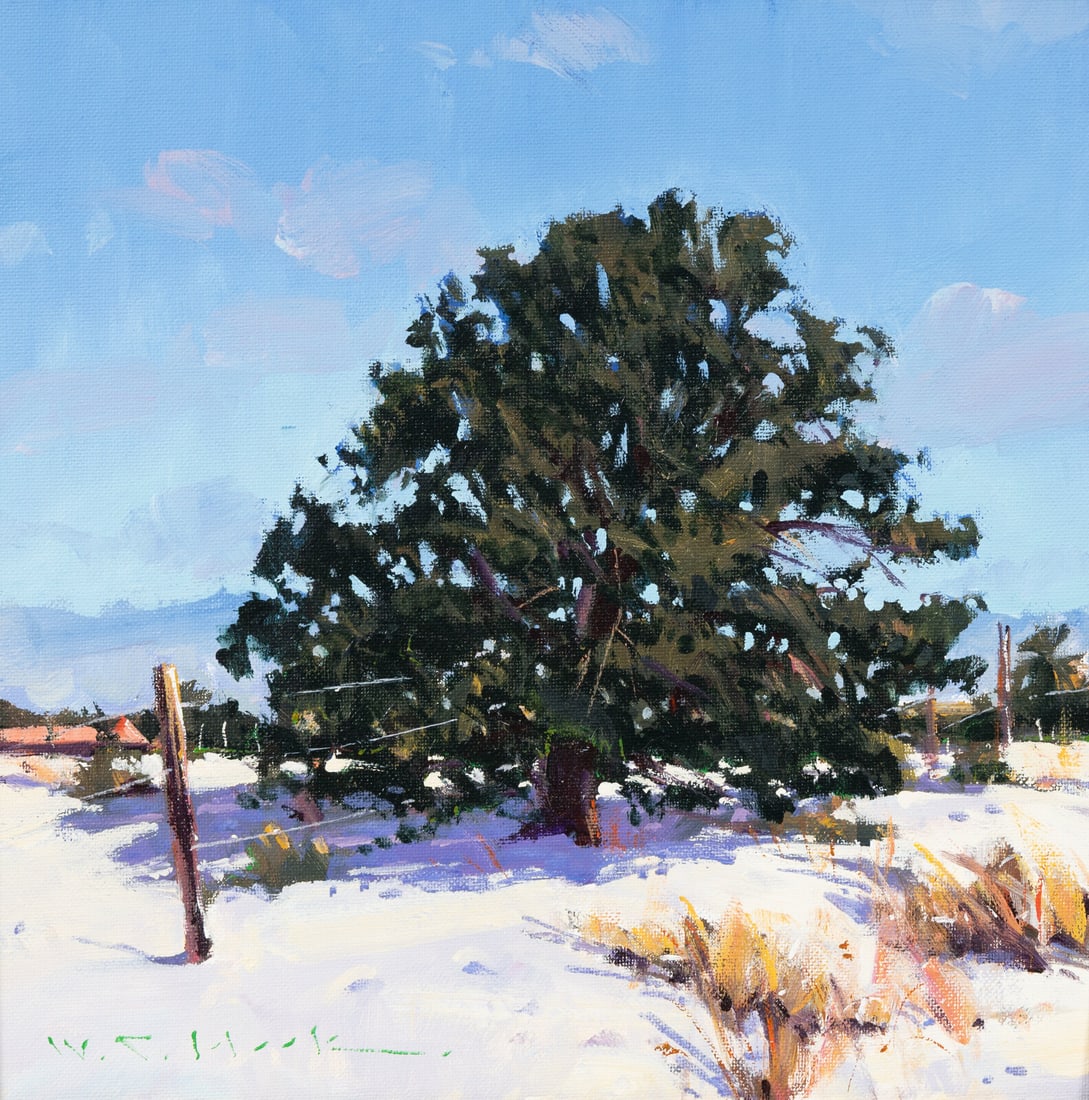 William Hook (American, b. 1948) Winter Piñon, 1995 (1 of 3)