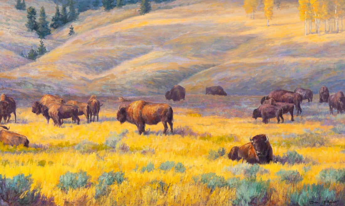 Dan D'Amico (American, b. 1956) Cloud Shadows (Bison), 1996 (1 of 3)