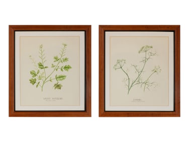 Four Louise Smith Watercolor Botanical Illustrations