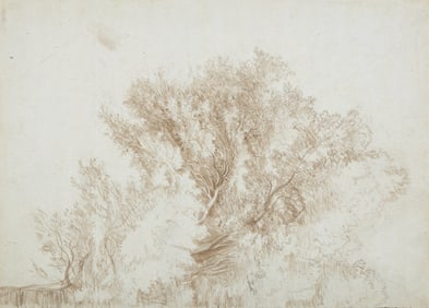 Continental School, 18th/19th Century Half of a Tree