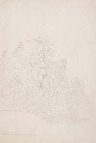 Adolf Kaiser  (German, 1804-1861) Plant Study in Lovere, 1827