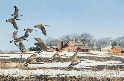 Richard W. Plasschaert (American, b. 1941) Geese in Flight, 1984