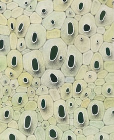 Alexander Ross (American, b. 1960) Untitled, 2002