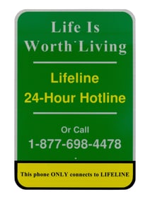 Matthew Day Jackson (American, b. 1974) Lifeline, 2010