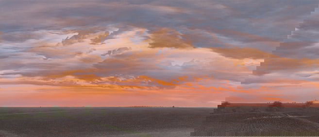 James Winn (American, b. 1949) Dusk, No. 21, 1985