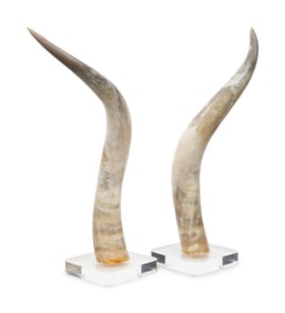 A Pair of Large Steer Horns