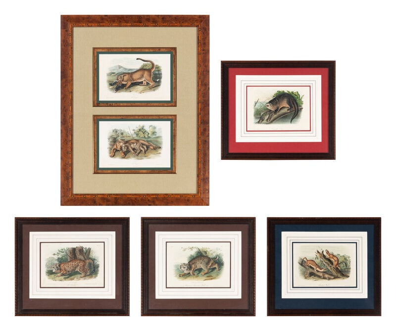 [Prints] Audubon, John James Group of 6 Lithographs from the Quadrupeds of America (1 of 11)