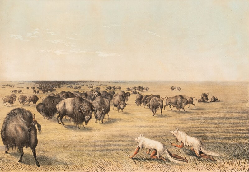 [Prints] Currier and Ives. Buffalo Hunt under the White Wolf Skin. An Indian Stratagem on the Level (1 of 2)