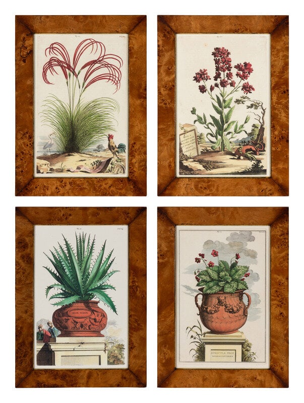 A Set of Four Hand Colored Botanical Engravings (1 of 20)