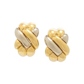 BICOLOR GOLD EARRINGS