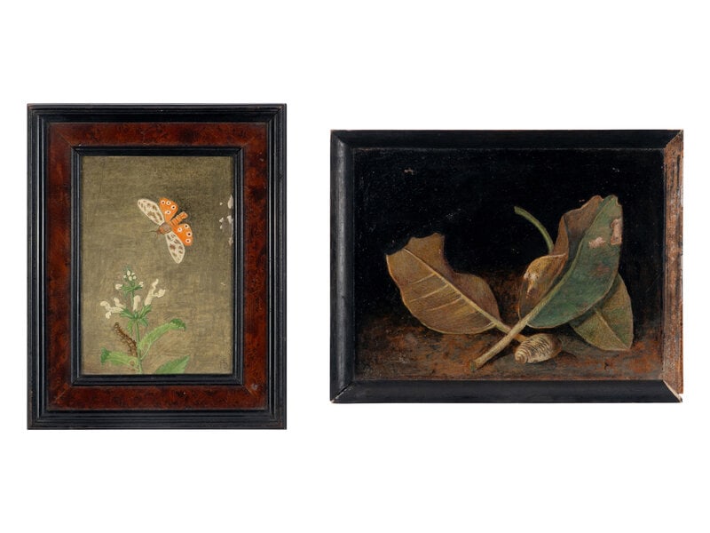 Maxwell Ashby Armfield (British, 1881-1972) Magnolia Leaves and Shell and Tiger Moth and Nettle (two (1 of 6)