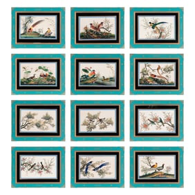 A Set of Twelve Chinese Export Watercolor and Pith Paintings of Exotic Birds