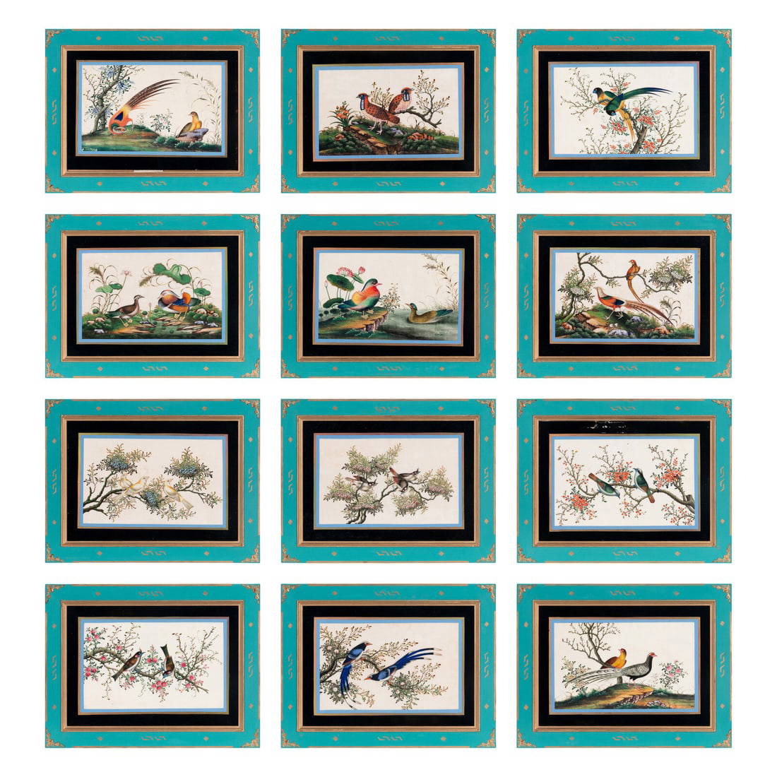 A Set of Twelve Chinese Export Watercolor and Pith Paintings of Exotic Birds