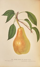 [Natural History] Hovey, C(harles).M(ason). The Fruits of America... First edition.