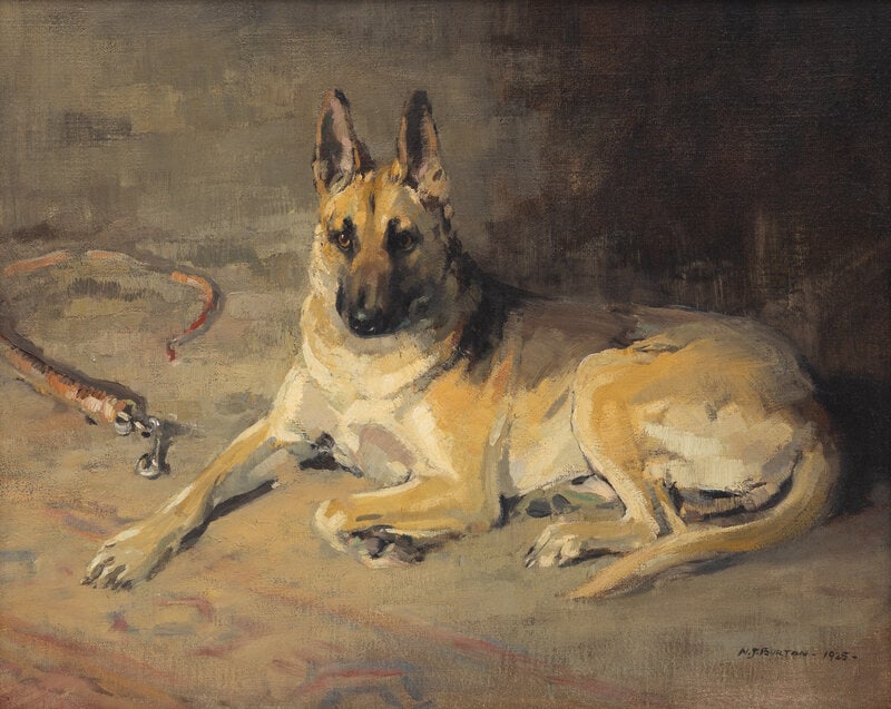Nancy Jane Burton, RSW (British, 1891-1972) An Alsatian (Portrait of a German Shepherd), 1925 - 2