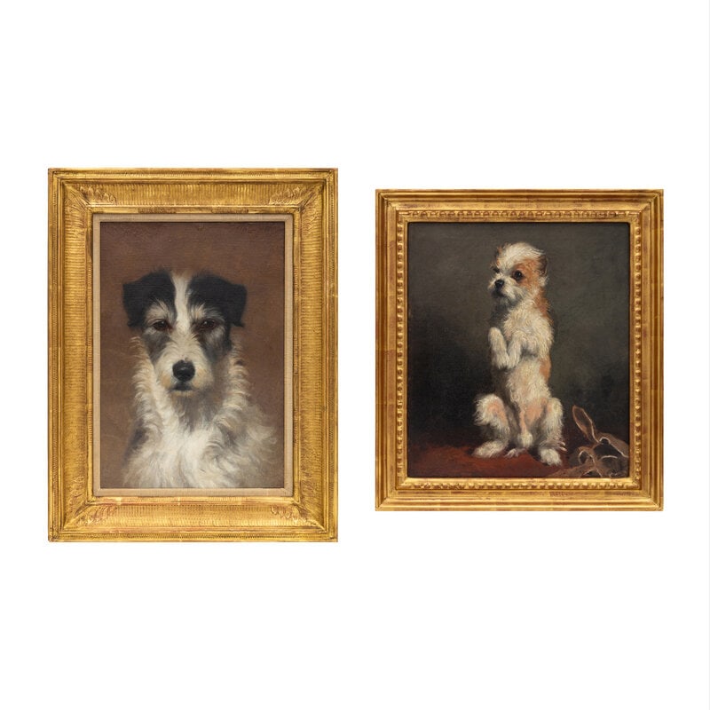 British School Early 20th Century Two Portraits of Terriers (1 of 7)