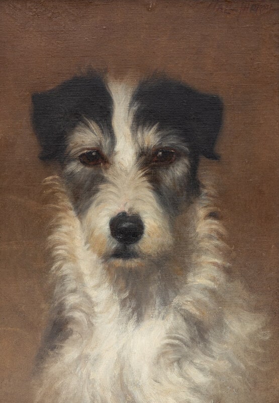 British School Early 20th Century Two Portraits of Terriers - 3