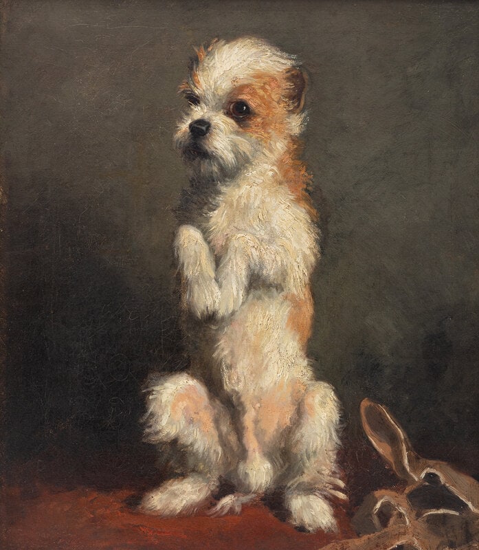 British School Early 20th Century Two Portraits of Terriers - 6