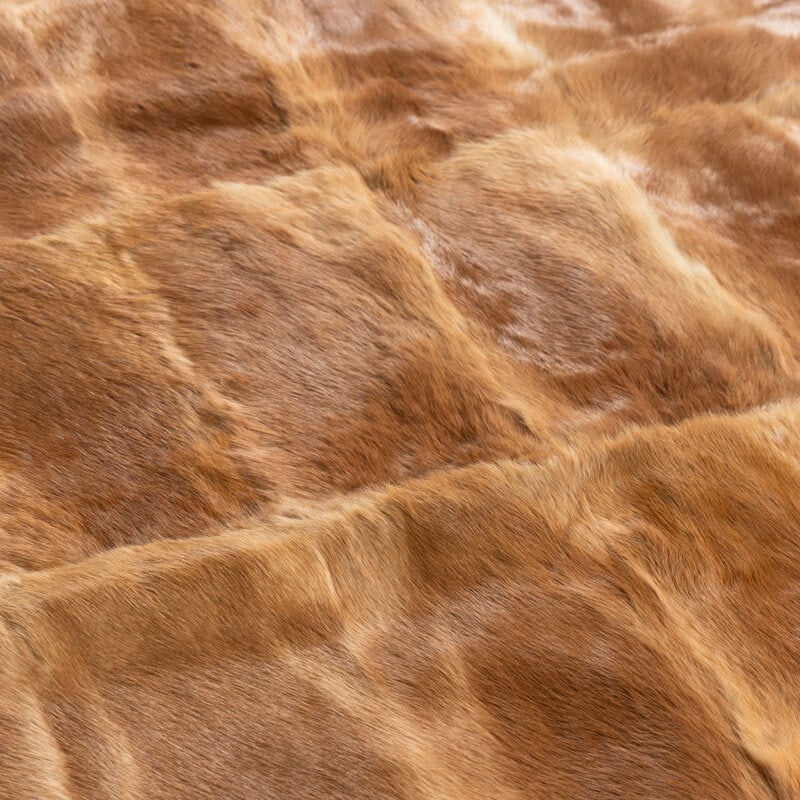 A Fur Throw Blanket - 2