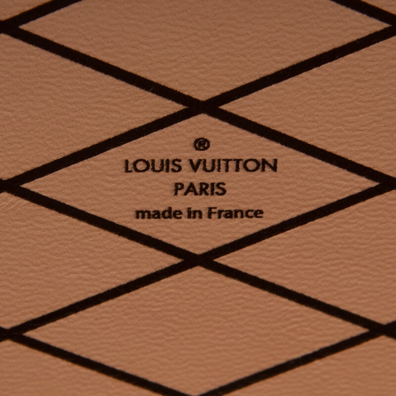 LOUIS VUITTON, 'CATOGRAM' PETITE MALLE BAG - 9