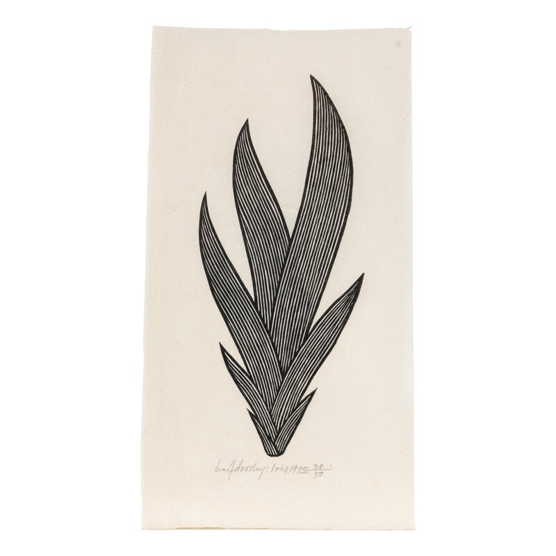 Jacques Hnizdovsky (American, 1915-1985) Iris, 1972: Jacques Hnizdovsky (American, 1915-1985) Iris, 1972 woodcut signed, titled, dated, and numbered 30/50 in pencil 11 1/2 x 6 1/4 This lot is located in Chicago. Size