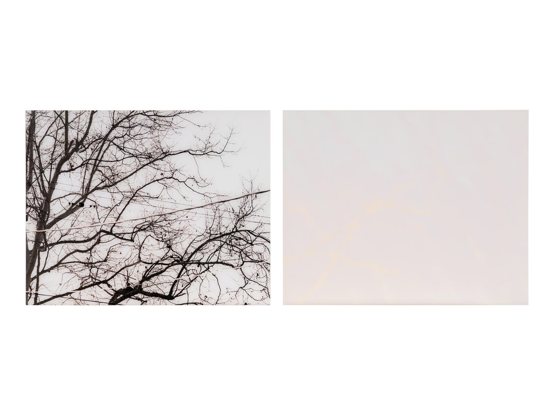 Uta Barth (American/German, b. 1958) Untitled (02.9), 2002 (diptych) (1 of 6)