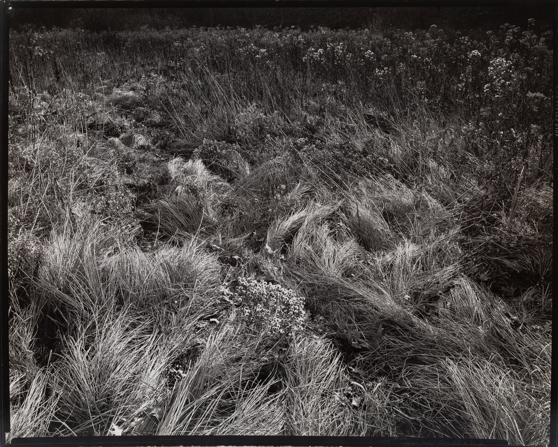 Harry Callahan (American, 1912–1999) Michigan, 1941 (1 of 1)
