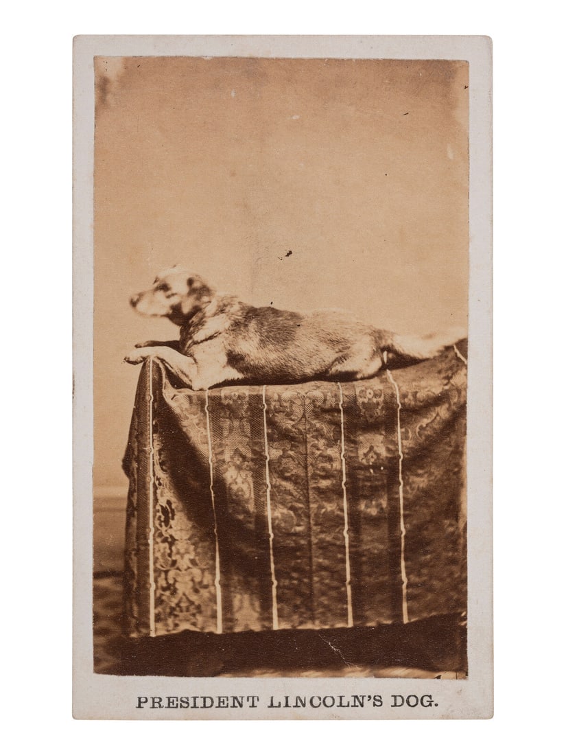[LINCOLNIANA]. CDV of Abraham Lincoln's dog, Fido. Springfield, IL: F.W. Ingmire, ca 1861. (1 of 2)