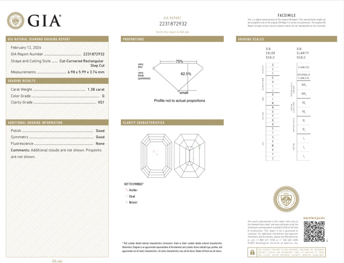 DIAMOND AND PLATINUM RING - 4