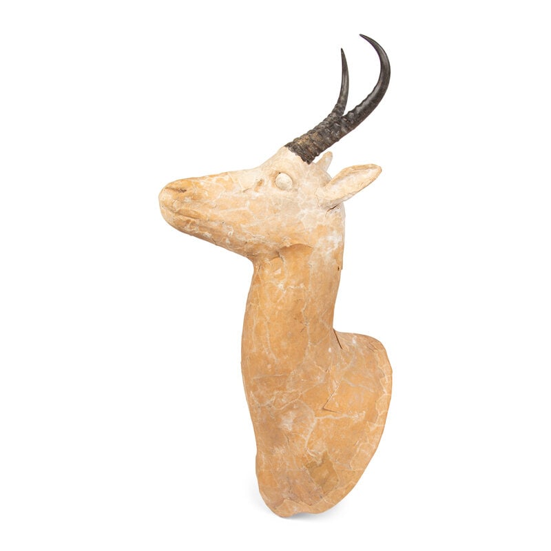 A Papier Mâché Antelope Shoulder Mount - 2