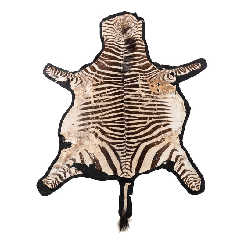 A Taxidermy Zebra Rug (1 of 13)
