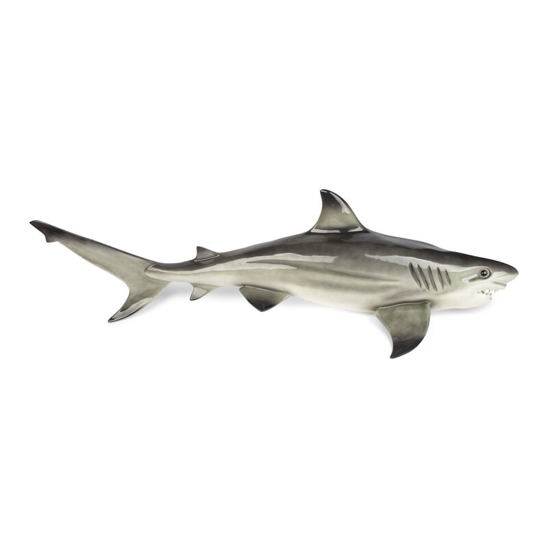 A Resin Model of a Shark Mount: A Resin Model of a Shark Mount Height 15 x width 55 x depth 11 1/4 inches. Property from an Alessandra Branca-Designed Chicago Residence This lot is located in Chicago. 
