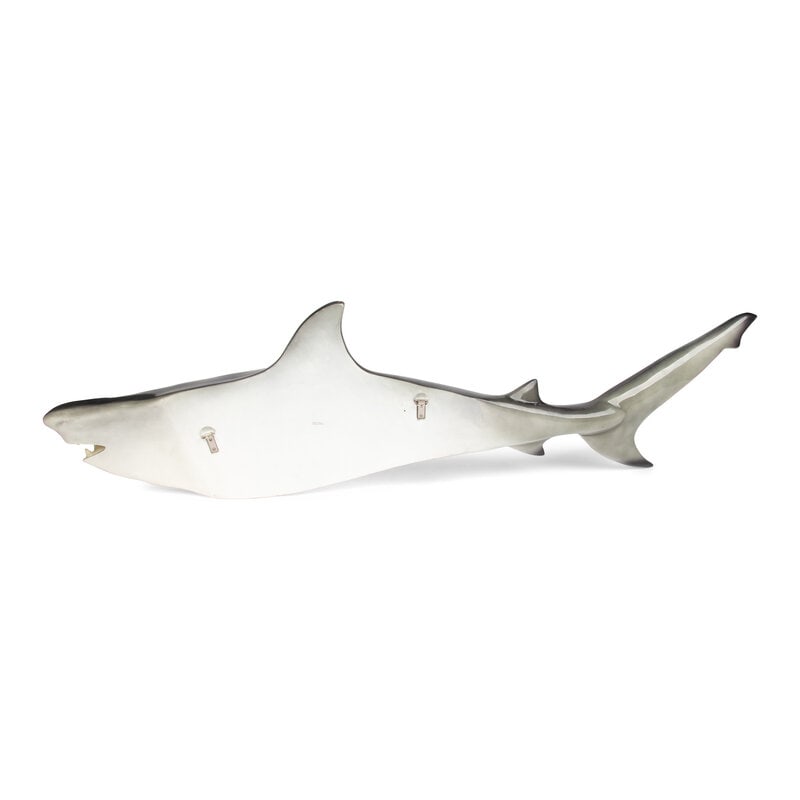 A Resin Model of a Shark Mount - 2