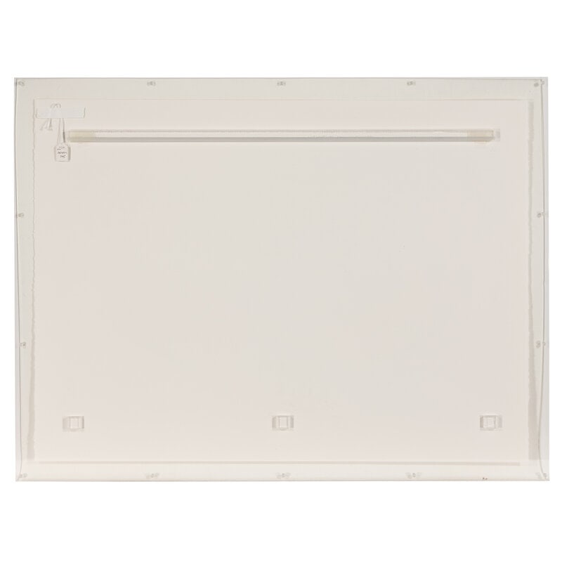 Joseph Scheer Utetheisa Bella #2, 2005 - 3