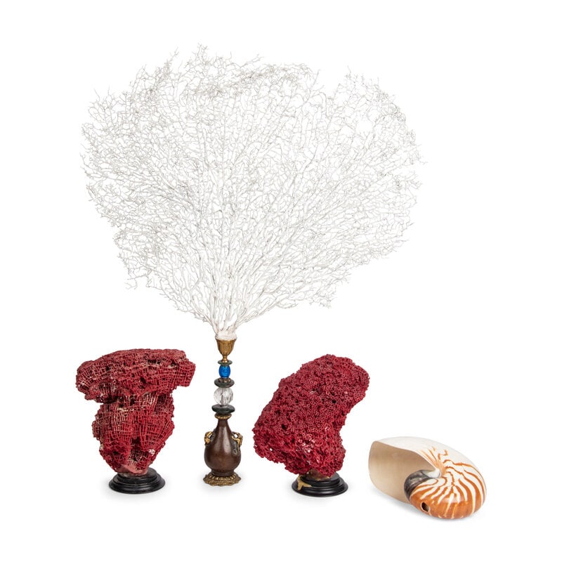 Three Painted Coral Specimens on Stands: Three Painted Coral Specimens on Stands together with a nautilus specimen; 4 items total. Height of tallest 24 1/2 inches. Property from an Alessandra Branca-Designed Chicago Residence This lot is