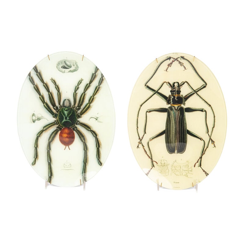 Two John Derian Decoupage Plates (1 of 13)