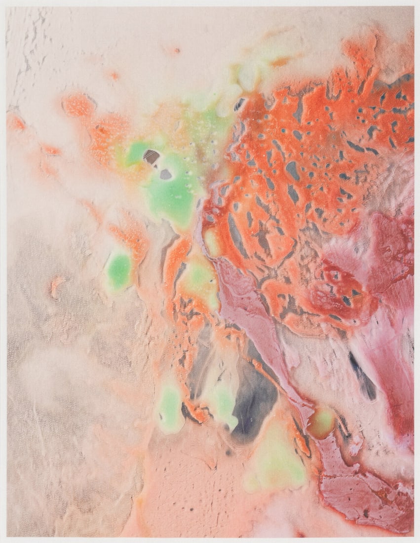 Alex Da Corte (American, b. 1980) Sea Swallow Me, 2013: Alex Da Corte (American, b. 1980) Sea Swallow Me, 2013 pigment on silk 18 x 14 inches. Property Sold to Benefit Cleveland Clinic This lot is located in Chicago.