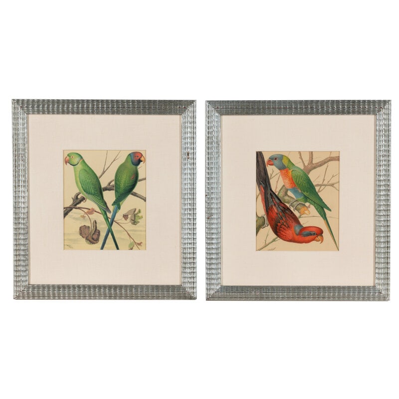 The Illustrated Book of Canaries and Cage-Birds, British and Foreign Cassell & Co., Limited: Six - 2