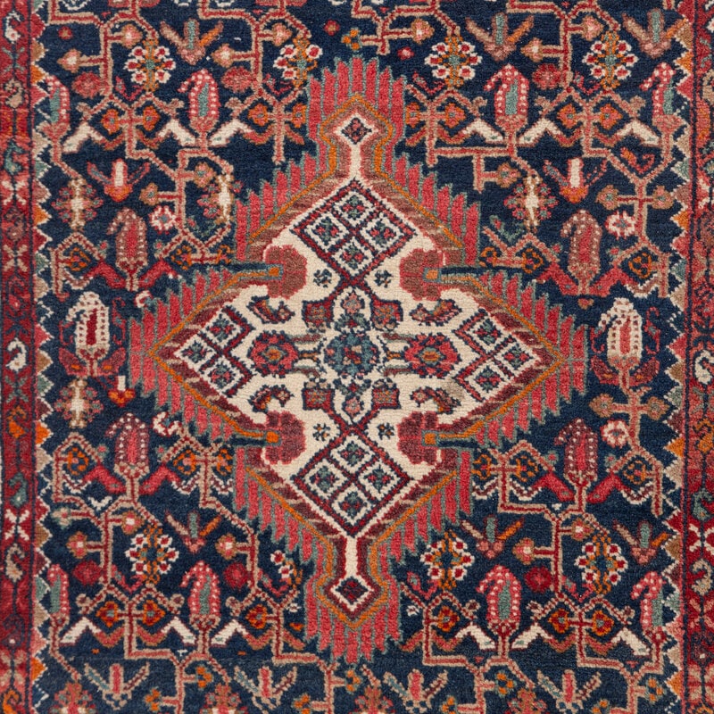 A Hamadan Runner - 2