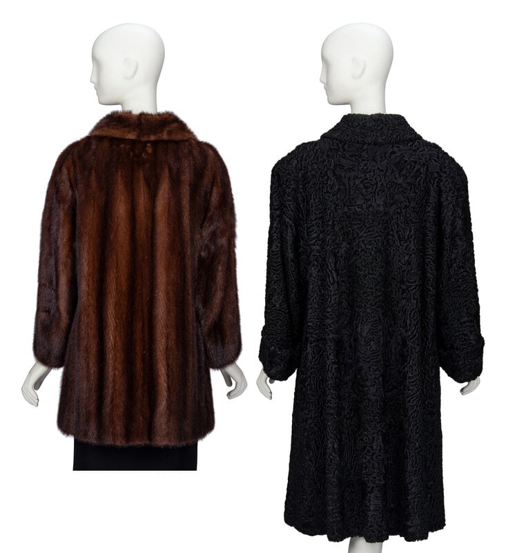 Two Fur Coats: Astrakhan and Mink - 6