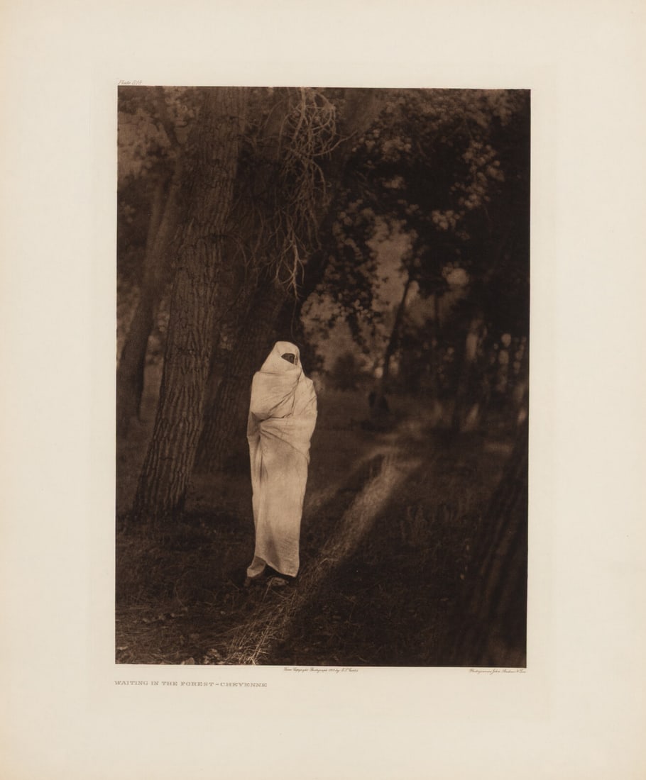 Edward S. Curtis (American, 1868-1952) Waiting in the Forest – Cheyenne, Plate 218: Edward S. Curtis (American, 1868-1952) Waiting in the Forest – Cheyenne, Plate 218 photogravure 1910, from a copyright photograph by E. J. Curtis. Printed by John Andrew & Son. (image) 21
