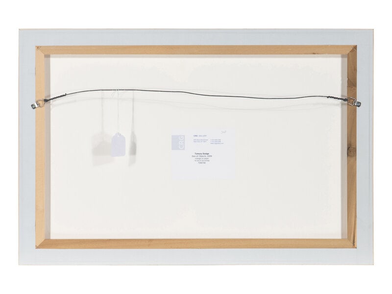 Tomory Dodge (American, b. 1974) Sea of Objects, 2009 - 3