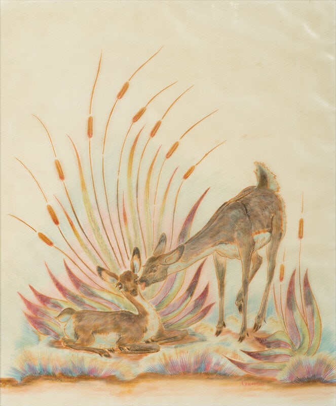 Woody Crumbo (Potawatomi, 1912-1989) untitled, doe and fawn: Woody Crumbo (Potawatomi, 1912-1989) untitled, doe and fawn colored pencil on animation cel signed lower left(sight) 8-3/4 x 10-1/2 inches; (framed) 13 x 17-1/2 inches The Ronny