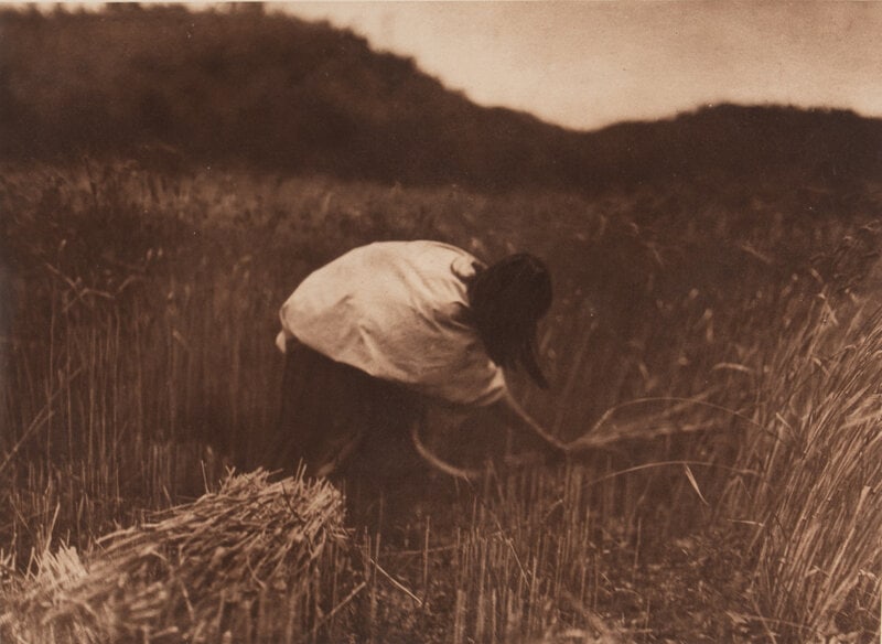Edward S. Curtis (American, 1868-1952) The Apache Reaper, Plate 8 - 3