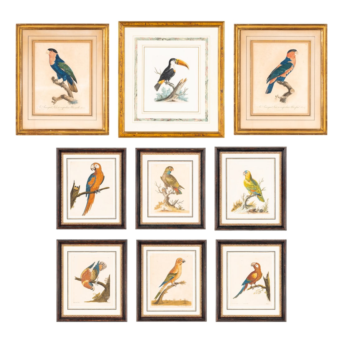 A Group of Nine Hand-Colored Engravings of Birds (1 of 20)