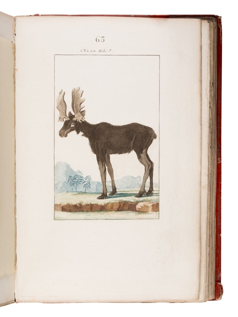 [Natural History]. Manuel, Blaise Etienne. -- Sève, Jacques Eustache de (d. 1829), illustrator. (1 of 4)